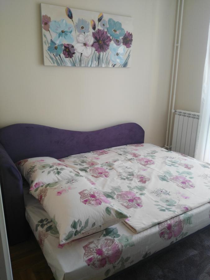 Vlado Apartment Βελιγράδι Εξωτερικό φωτογραφία