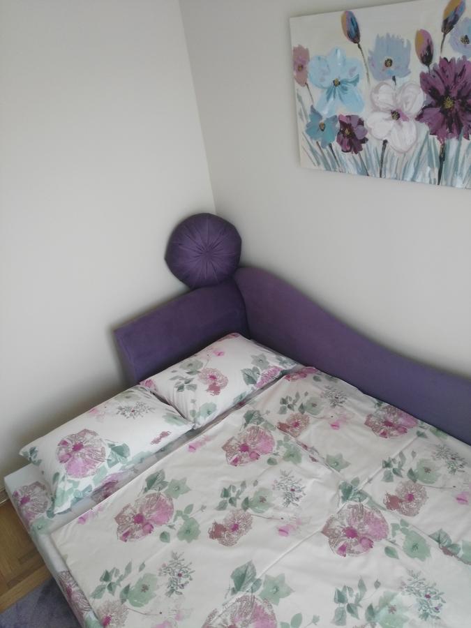 Vlado Apartment Βελιγράδι Εξωτερικό φωτογραφία